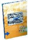 Srinath Fine Arts :: Some of our Diary Catalog for Year 2008
